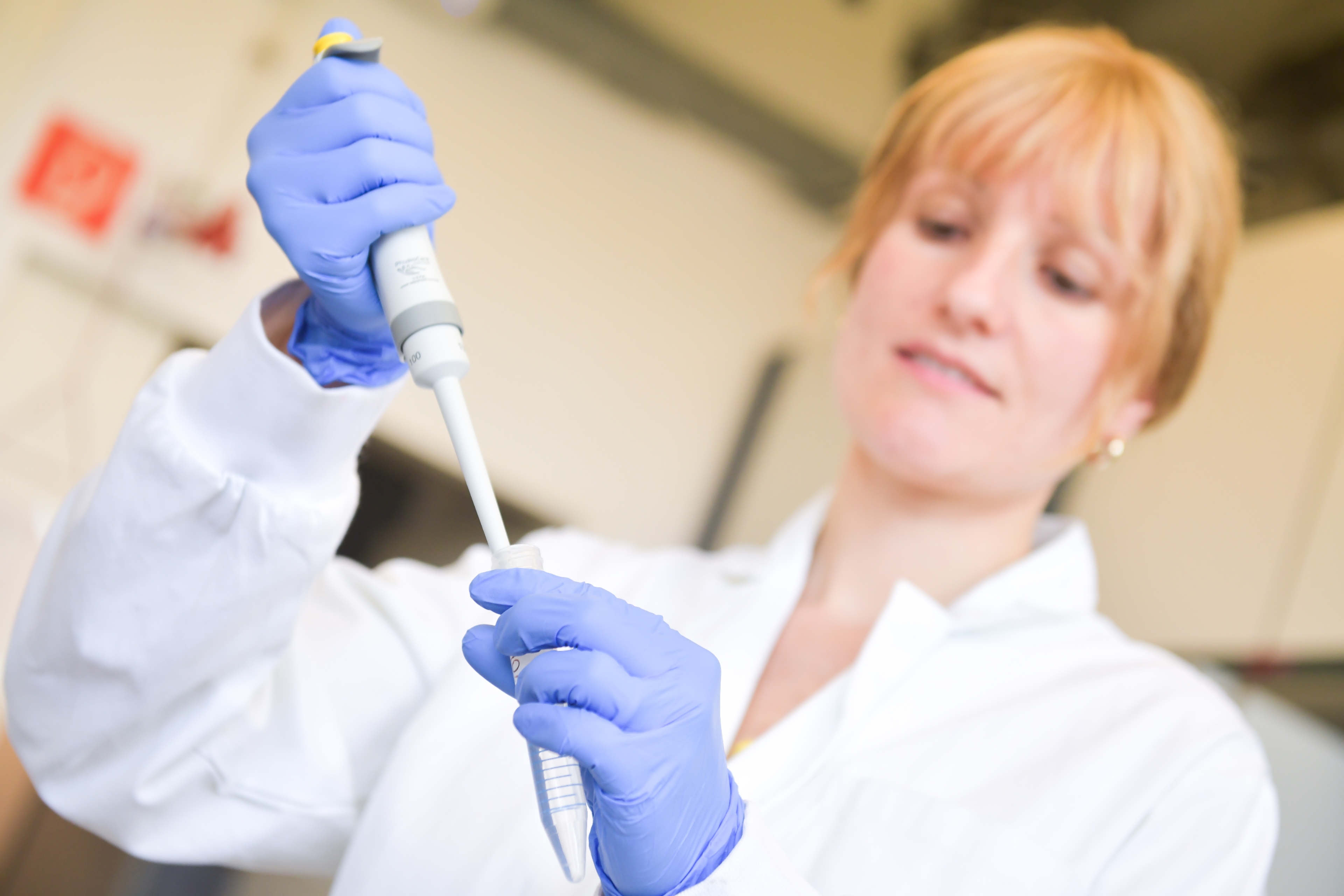 Scientists at work